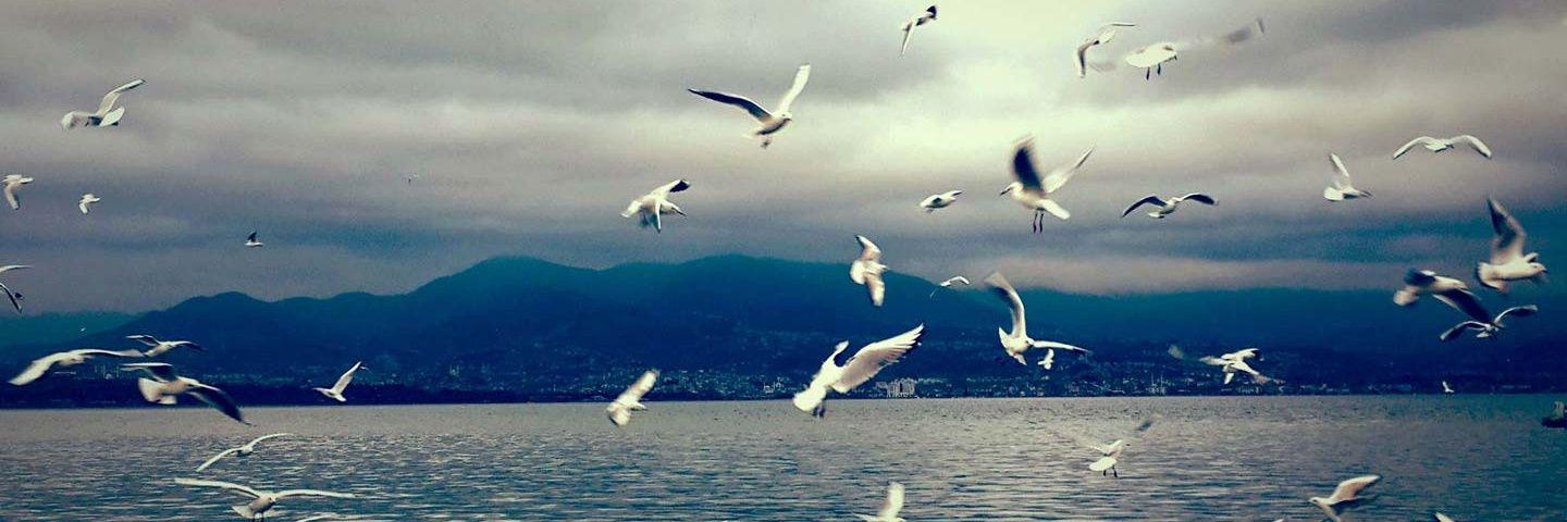 GamzeSenaran's profile banner image