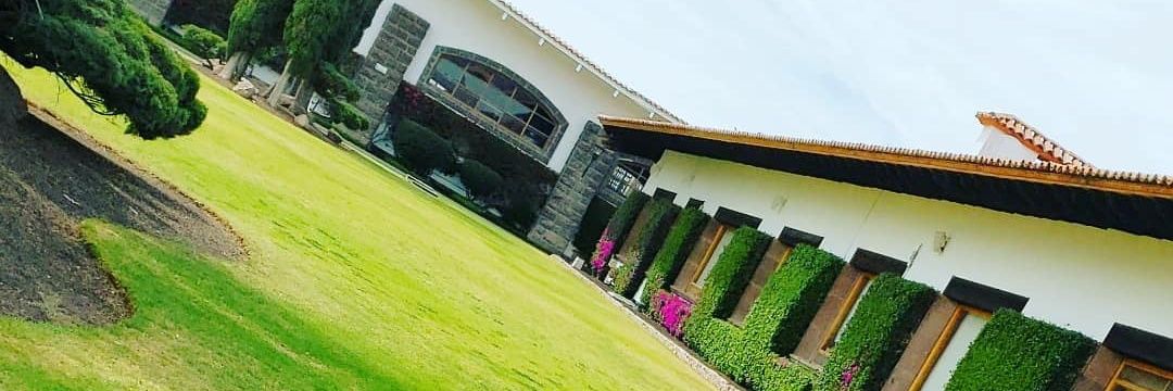 yolticrivera10's profile banner image