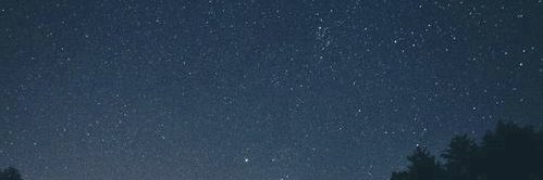 Dennis Edwards banner