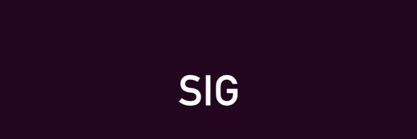SIG PROJECT banner