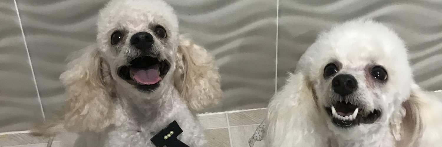 torreskathelee's profile banner image