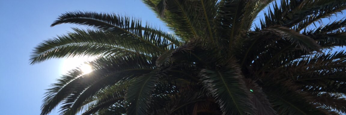 _izzylilly_'s profile banner image