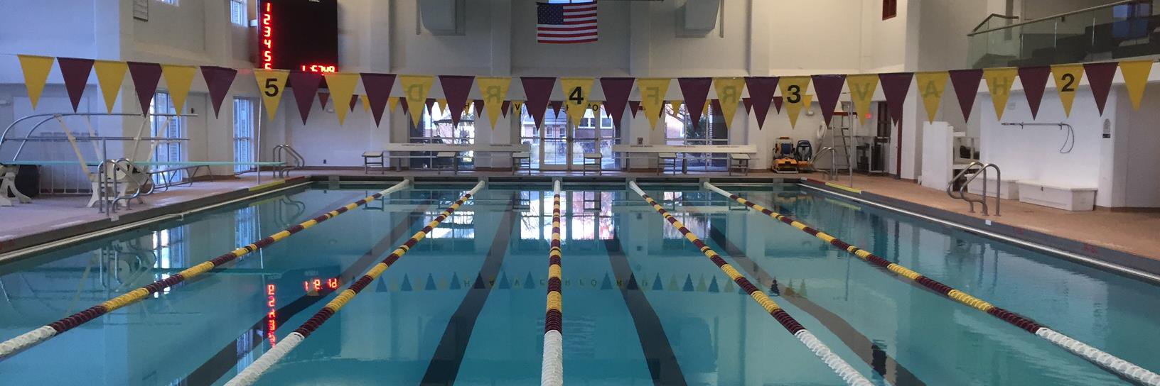 FordsSwimming's profile banner image