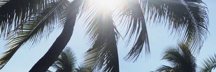 alli__nicole_'s profile banner image