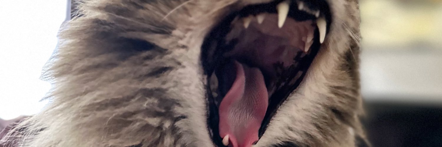 Sarchasm99's profile banner image