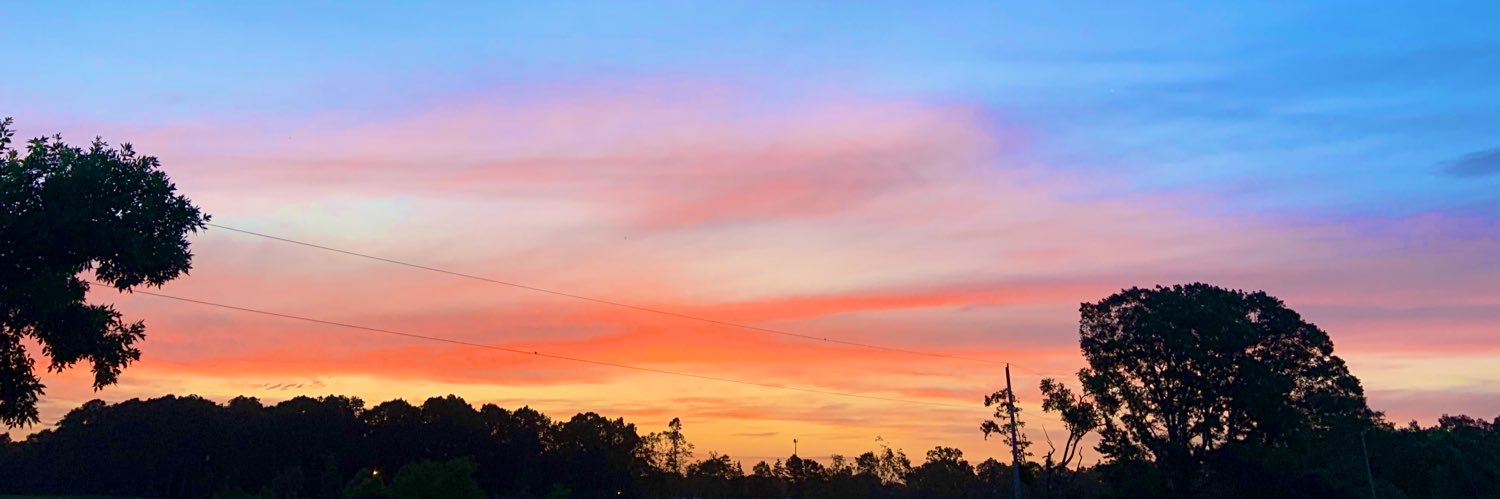 ErikaMorelock's profile banner image