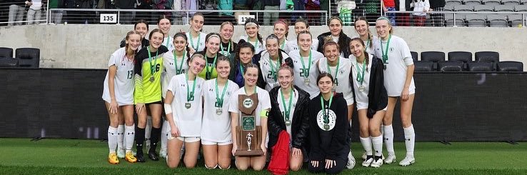 SHS Lady Mustangs banner