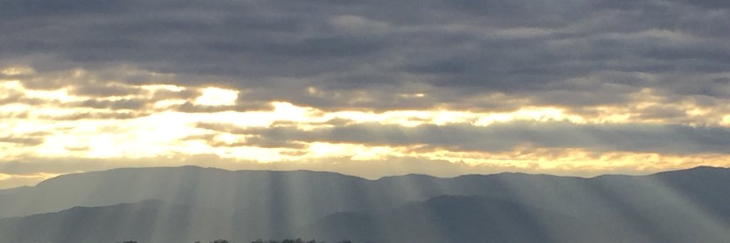 TylerBanks4's profile banner image