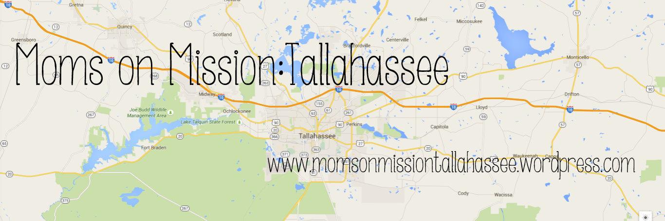 MomOnMissionTLH's profile banner image