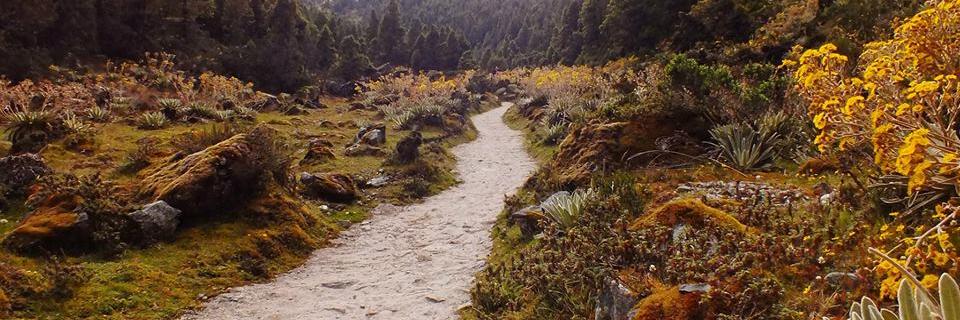 LeniRamirezD's profile banner image