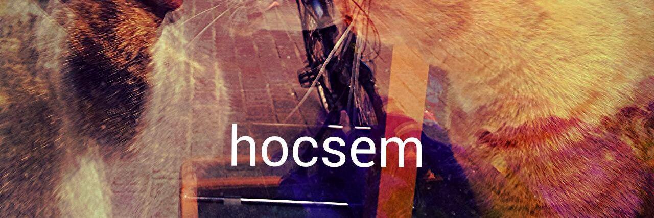 hocsem's profile banner image