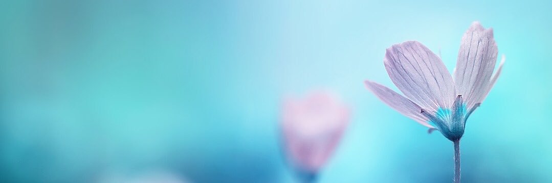 sam_crouse1's profile banner image