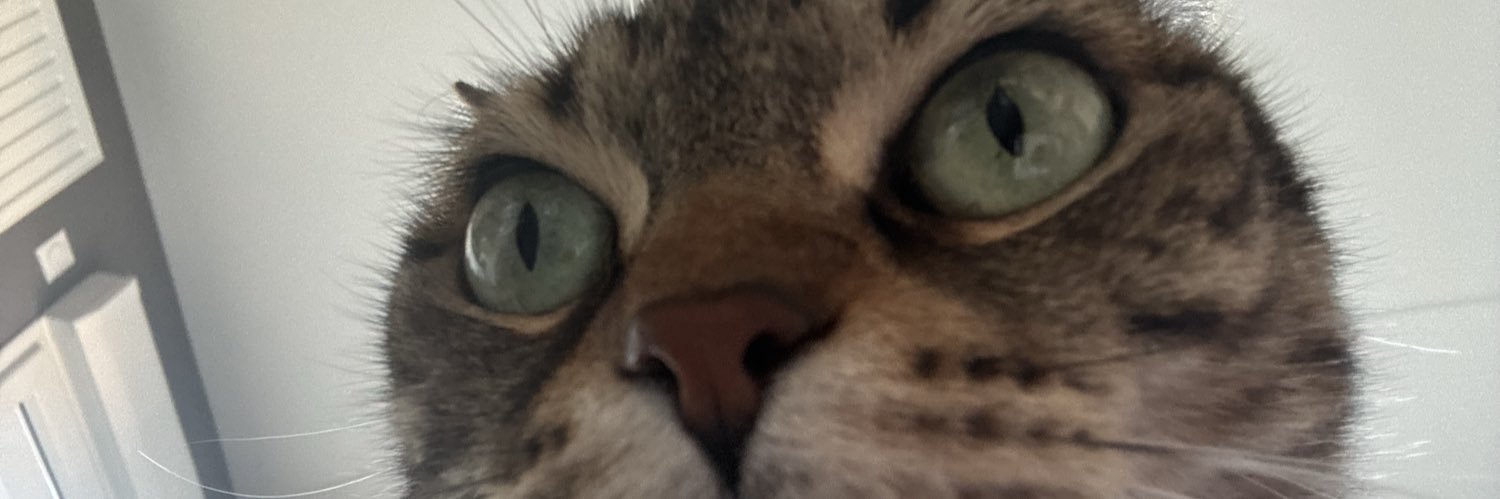 wilfrxed's profile banner image