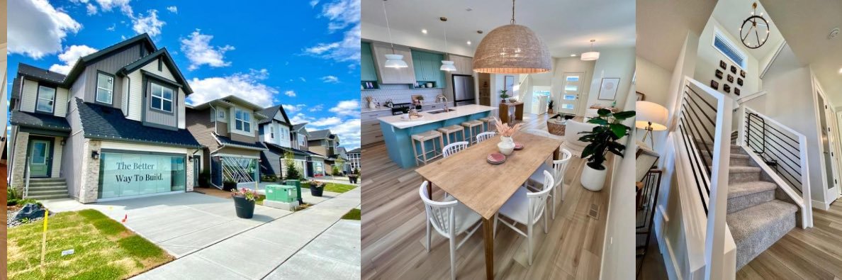 ShaneHomeLiving banner