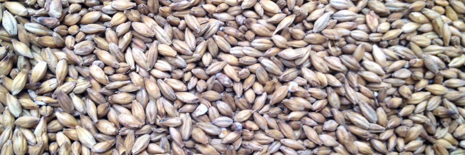 Maiden Brewing Co. banner