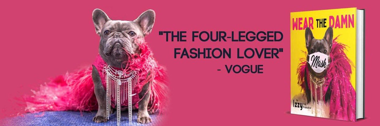 Izzy the Frenchie banner