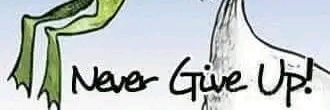Kachi_dibia1's profile banner image