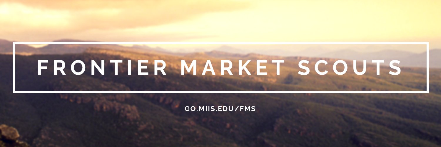 FrontierMarketScouts banner