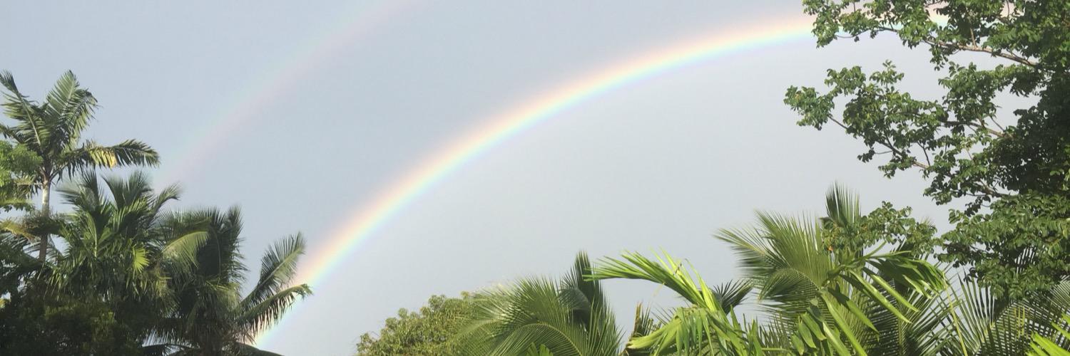 DDlugasch's profile banner image