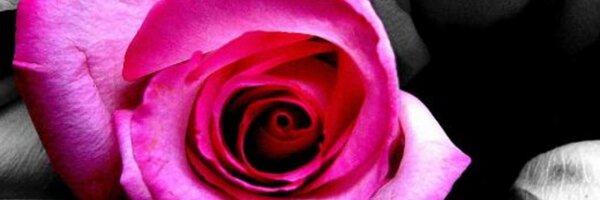 libbysenatide Profile Banner