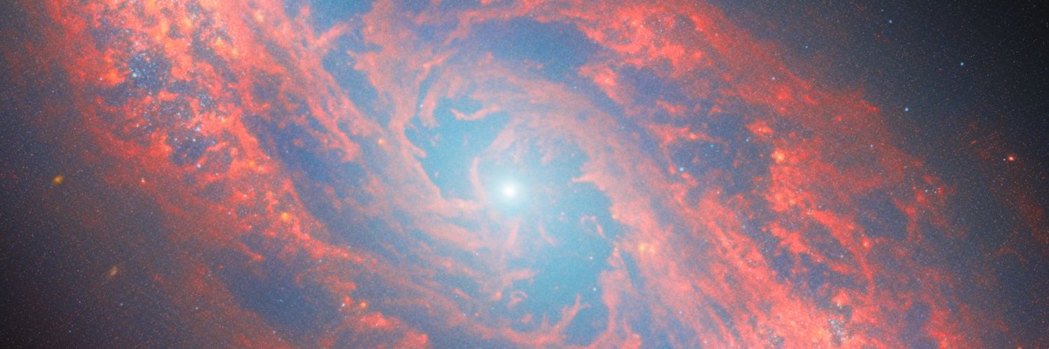 𝓒𝓪𝓻𝓵𝓸𝓼 banner