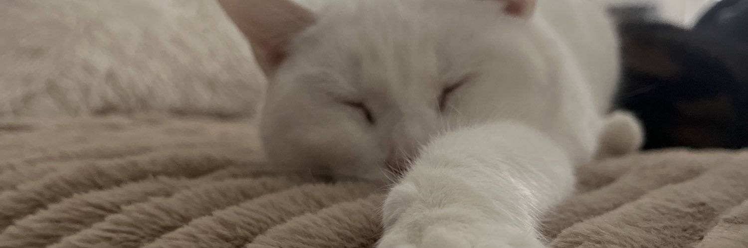 lulupalfray's profile banner image