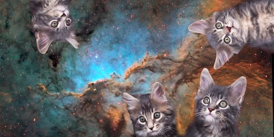 kehova's profile banner image