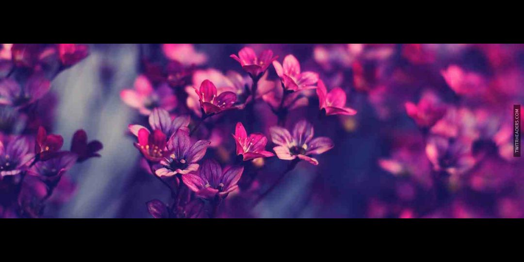 caseyycarterr's profile banner image