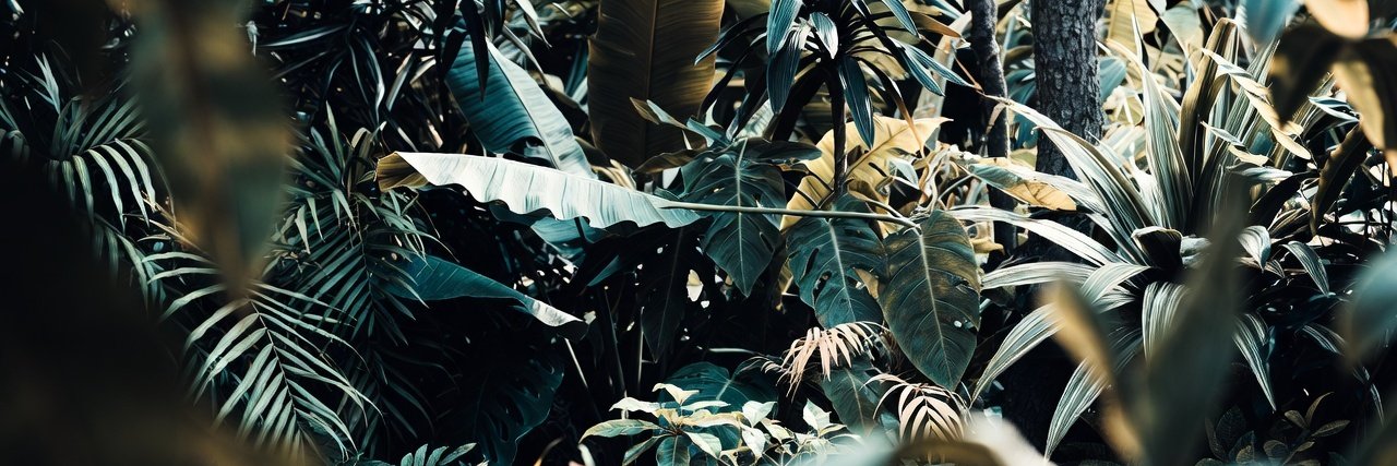 kamdfs's profile banner image