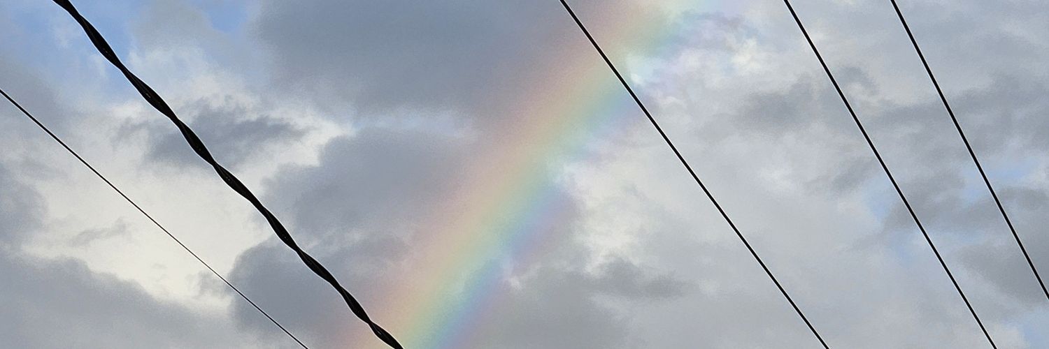 fofojaramillo's profile banner image