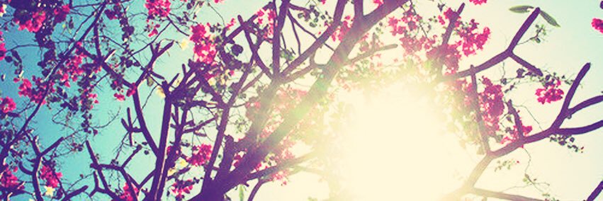 PipJayneBailey's profile banner image