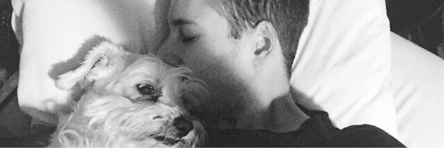 luisaherdezz's profile banner image