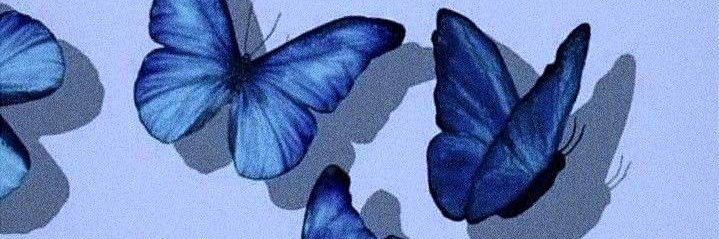 salmagutierrez's profile banner image