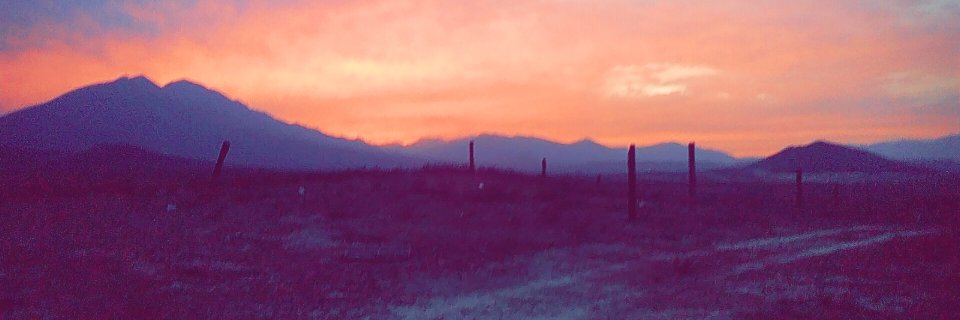 AlejandroMend18's profile banner image