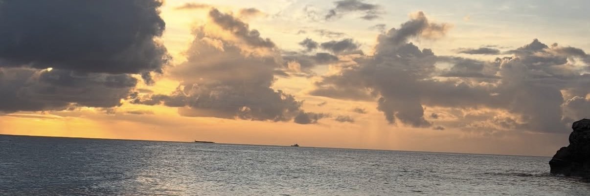 bombshellcourt's profile banner image