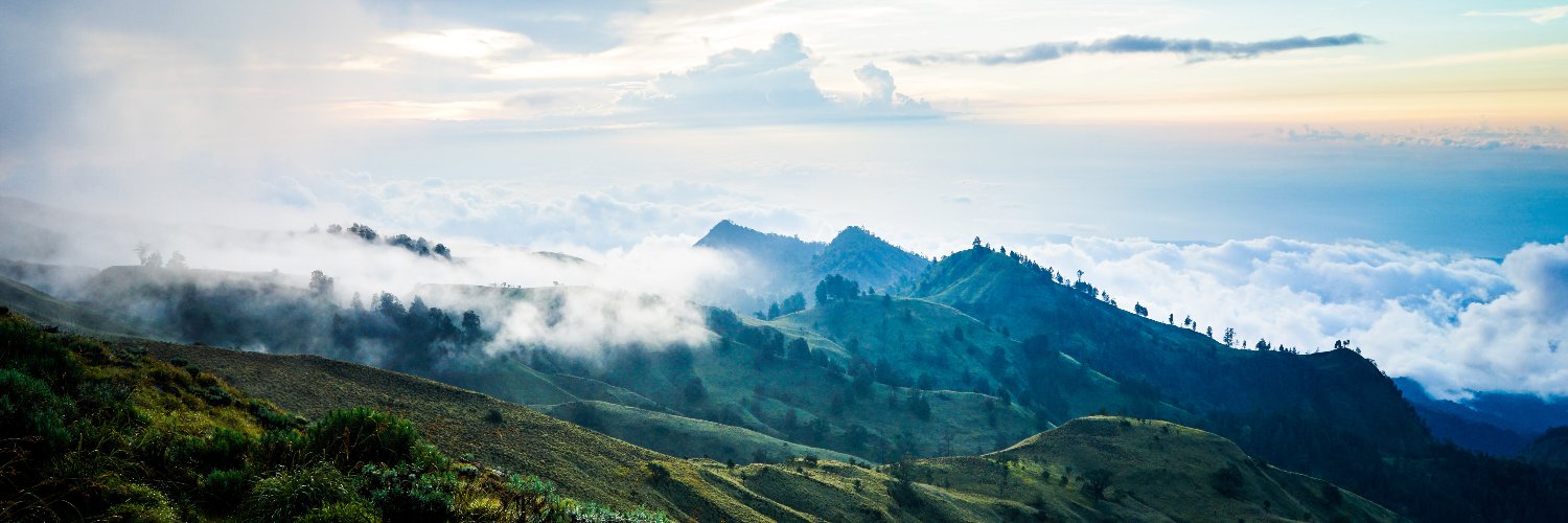 Electronic Tree banner