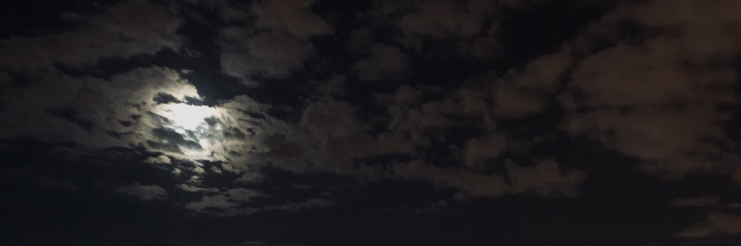 Zzuleyhasari's profile banner image