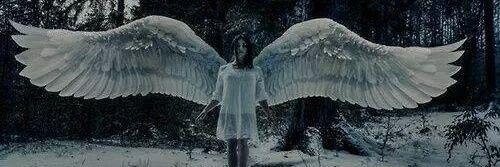 Suicida_29's profile banner image