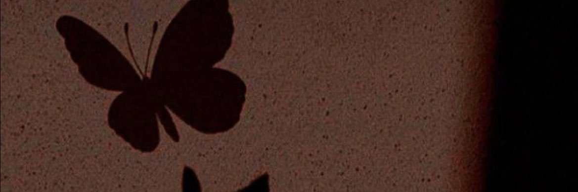 apoenadpp's profile banner image