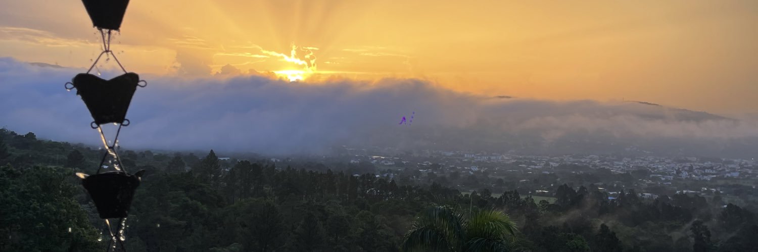 petwpan's profile banner image