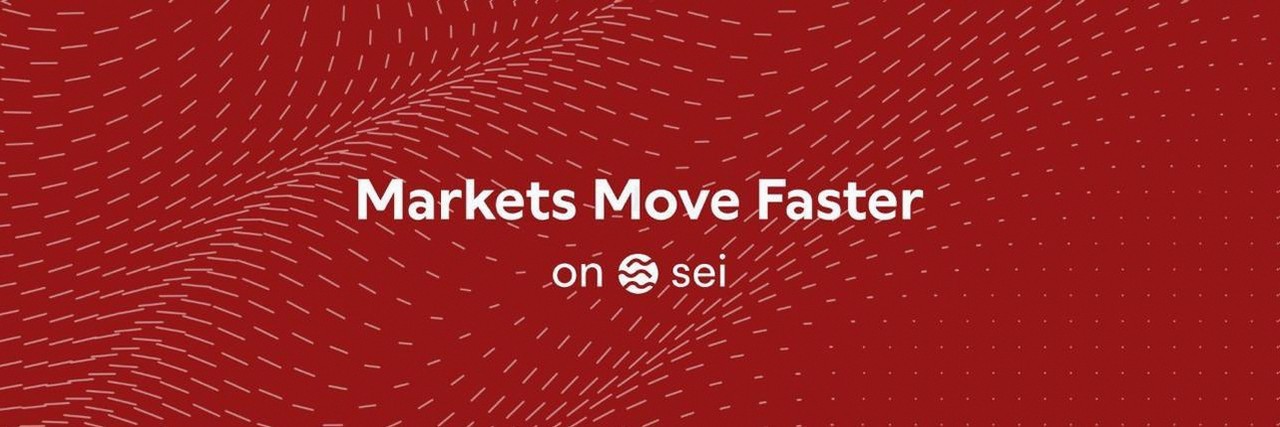 SelNetwork Foundation banner