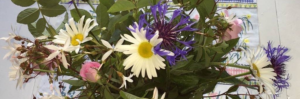 Marcus Rådell 🦀 🇺🇦✊️ banner