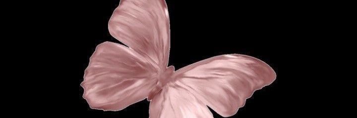 dariniftinani's profile banner image