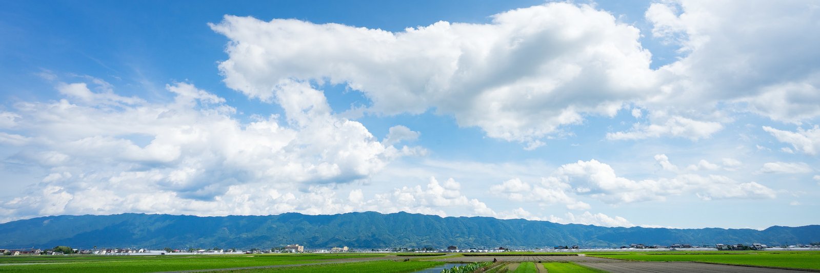 hama8291's profile banner image