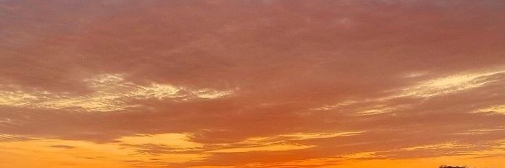 Alee_Cv's profile banner image