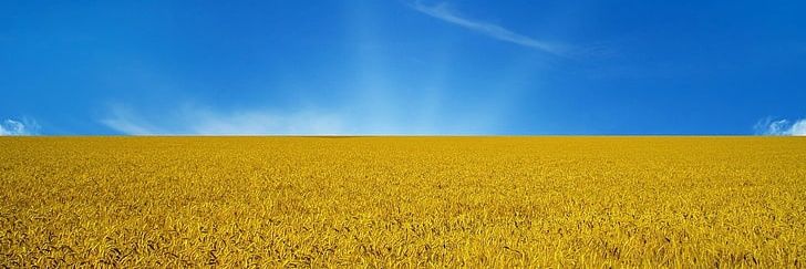 aphxukraine's profile banner image