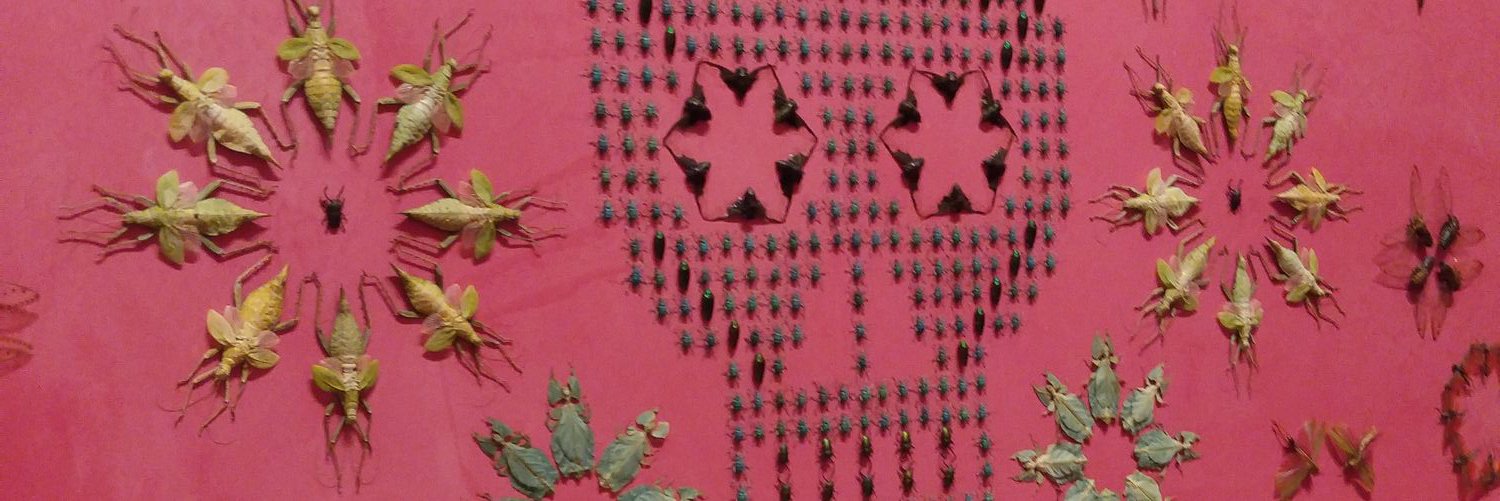 FishWoman1970s's profile banner image