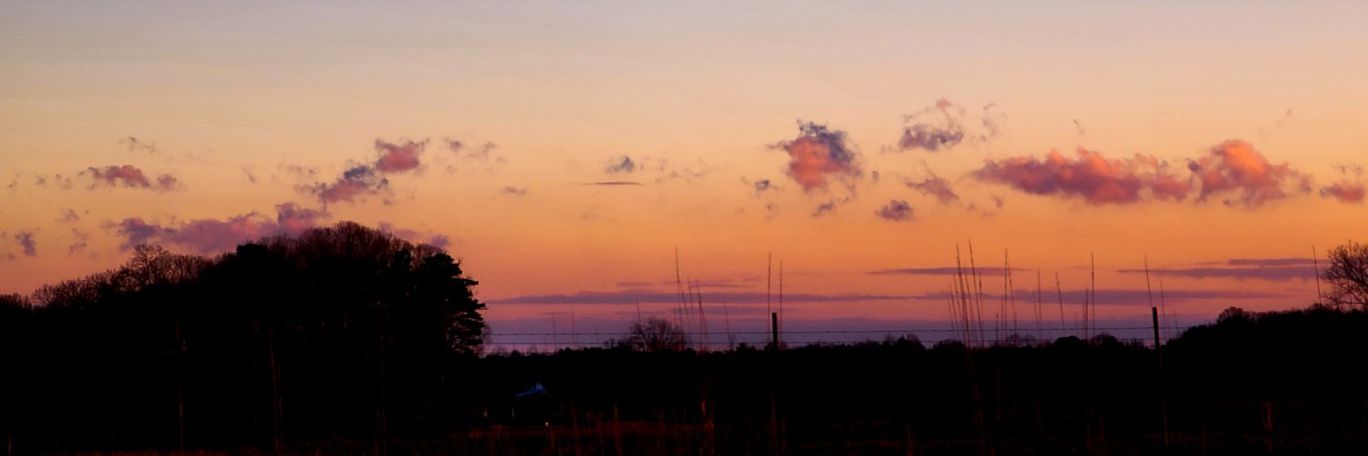 Thestarlitrose's profile banner image