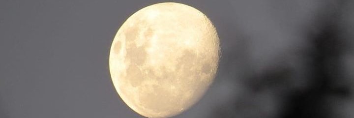 cachorrOprimido's profile banner image