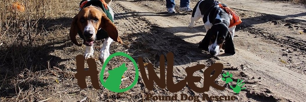 PDRhowler's profile banner image